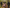 Aktionsbanner