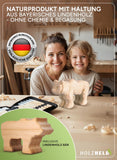 Holzheld® Schnitzwerkzeugset (17-teilig)  - mit praktischer Aufbewahrungstasche, vorgefrästem Lindenholzrohling und umfassender Schnitzanleitung